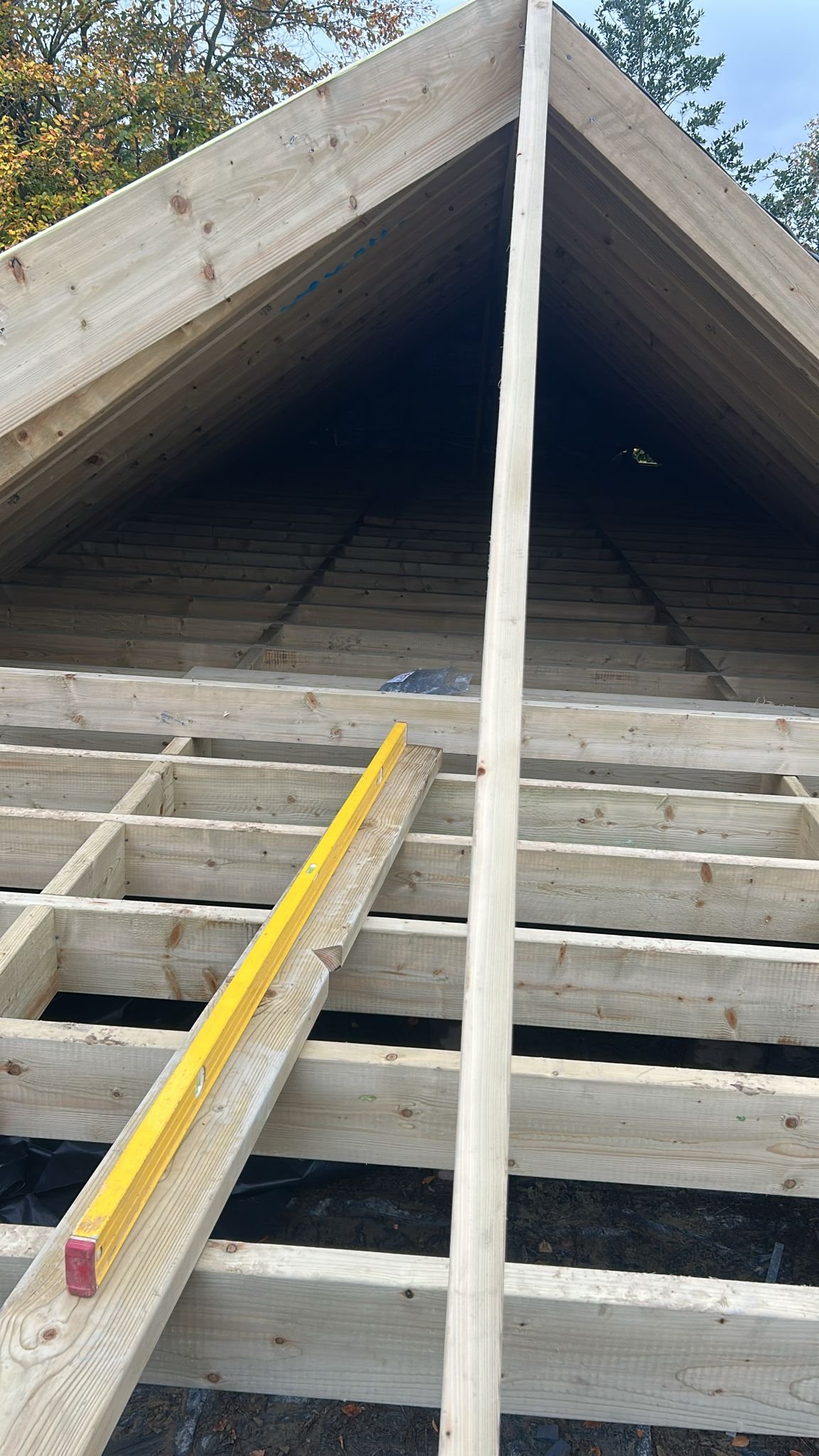 Roof & Joists 1