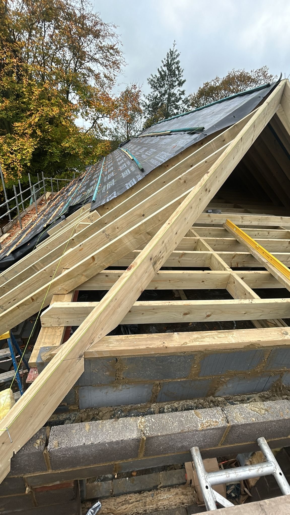 Roof & Joists 2
