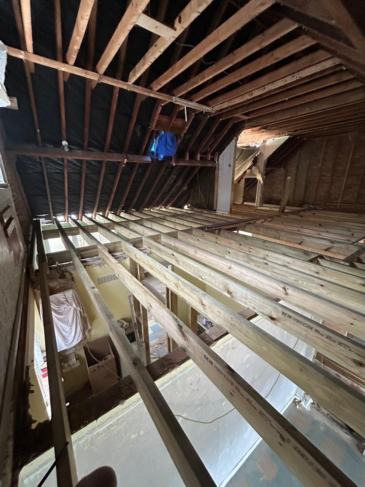 Roof & Joists 4