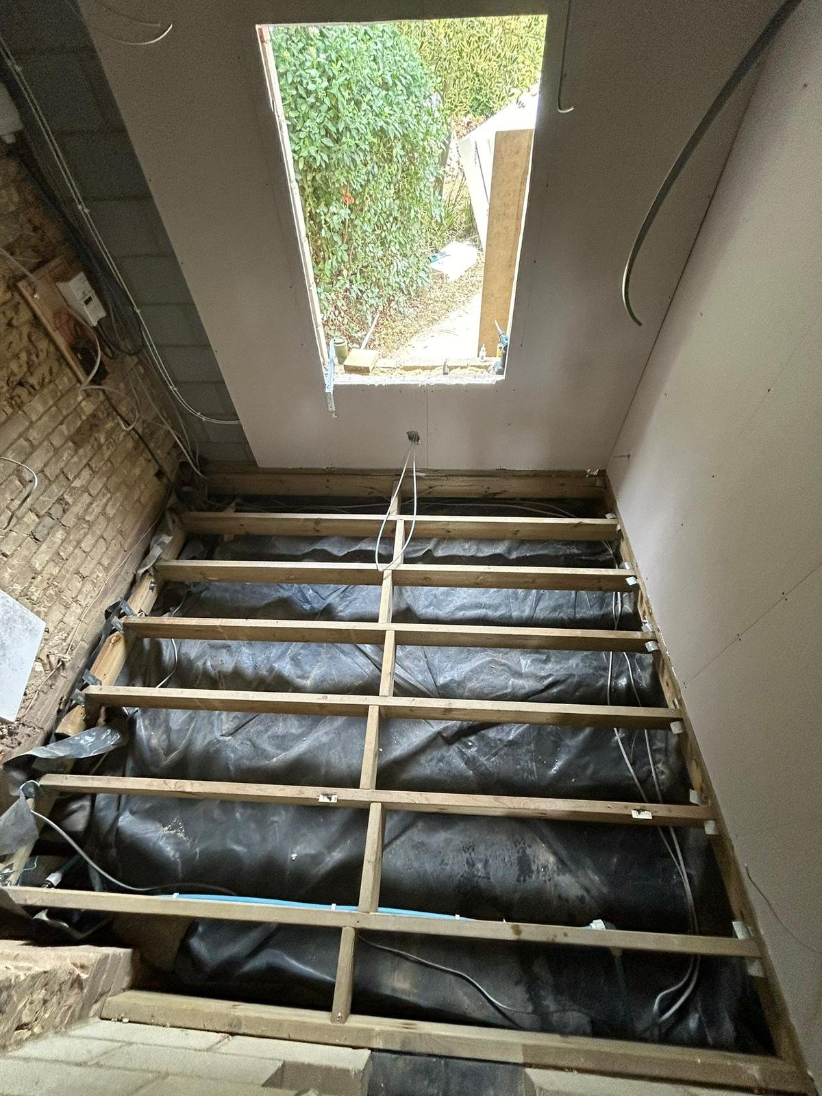 Roof & Joists 5
