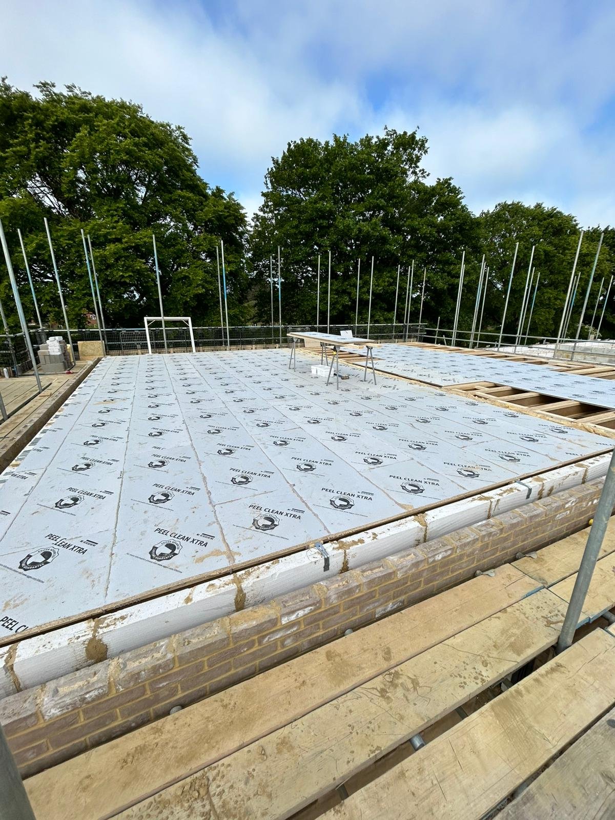 Roof & Joists 9