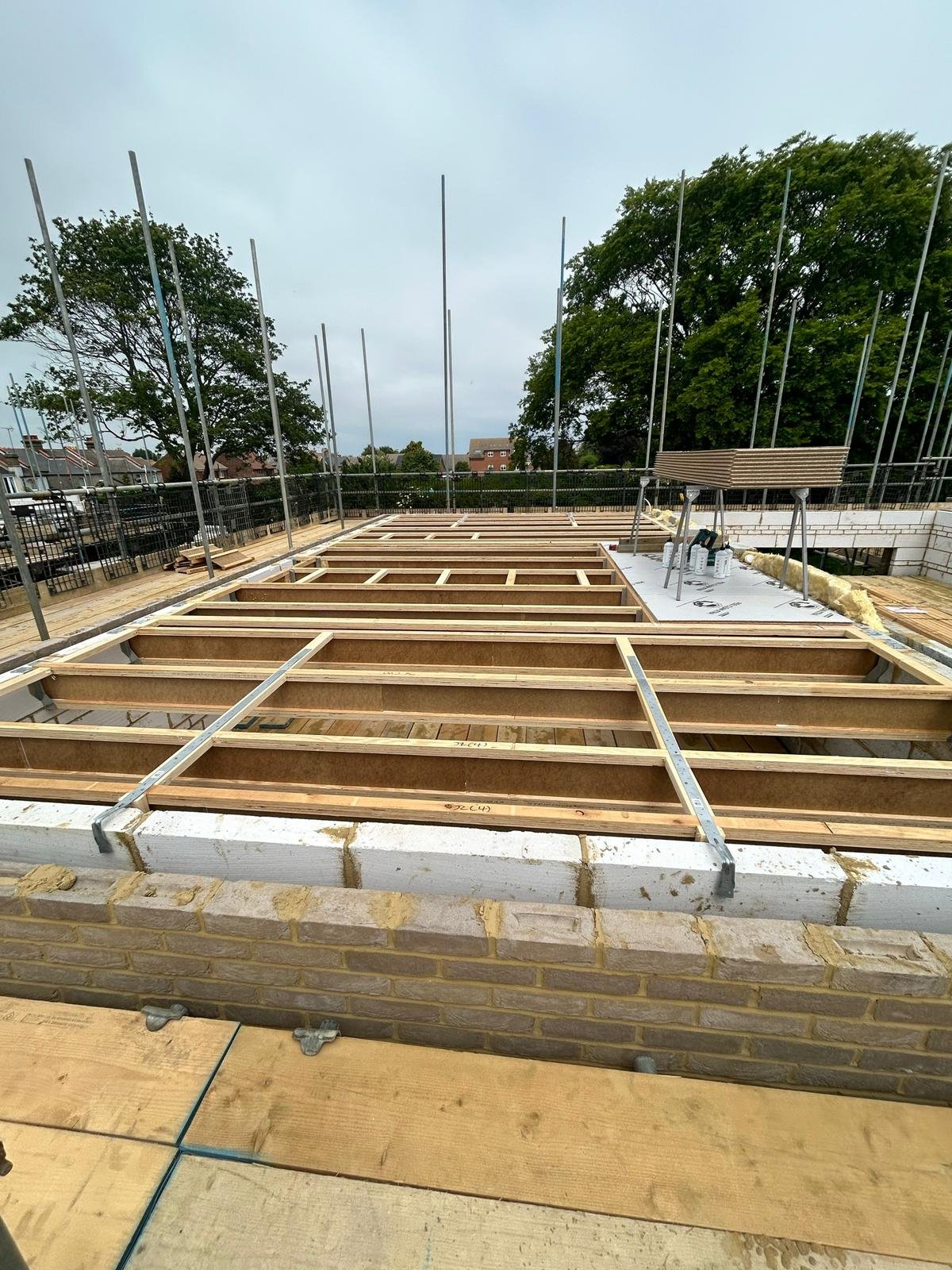 Roof & Joists 10
