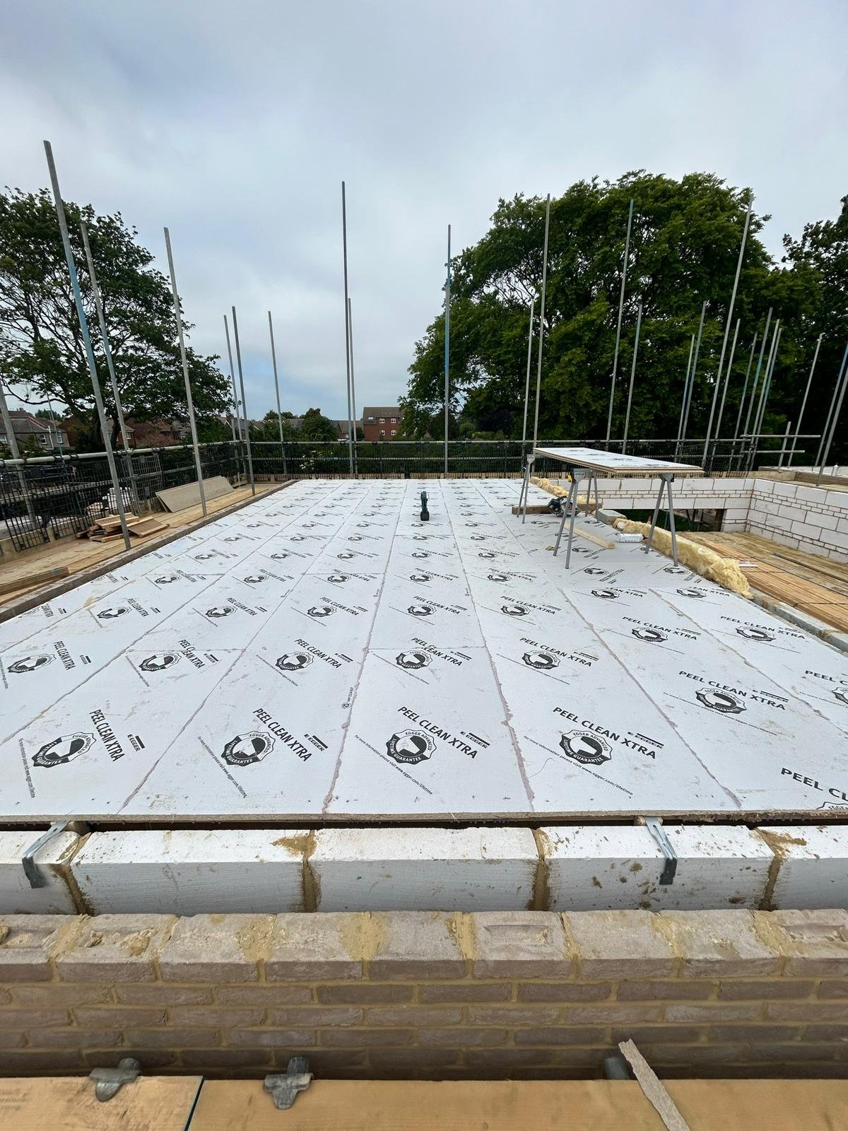 Roof & Joists 11
