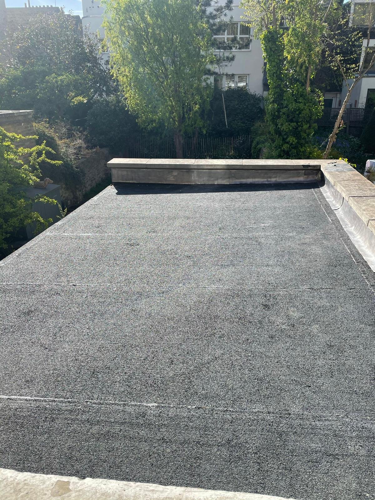 Roof & Joists 12